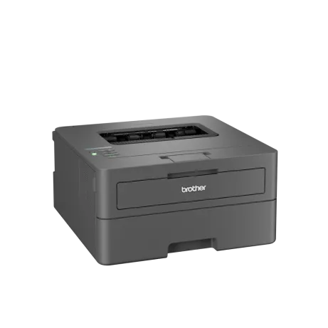 Brother Laser printer HL-L2400DWE