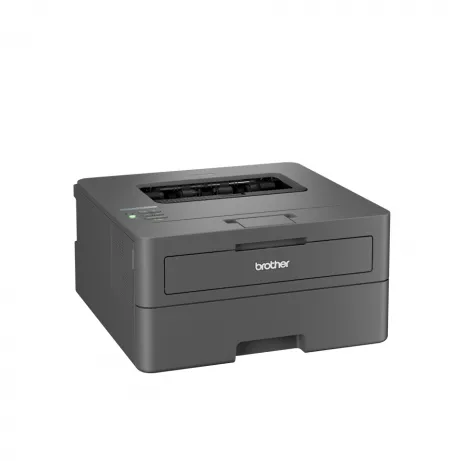 Brother Laser printer HL-L2445DW