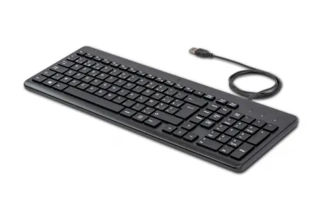 HP 150 Wired Keyboard Azerty – afbeelding 2